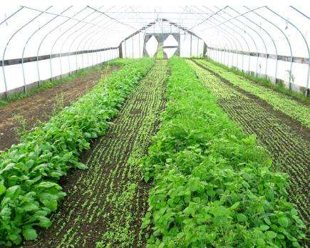 防水保溫被最重要的兩大優(yōu)點(diǎn)您了解嗎？