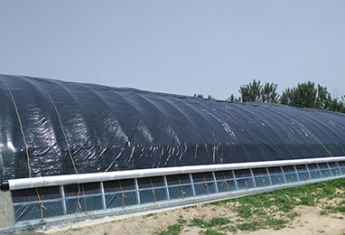 做溫室大棚有什么特別的注意事項嗎？